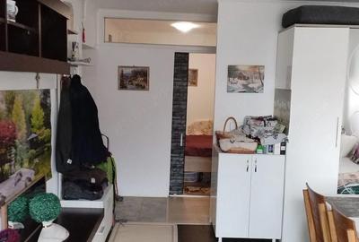 Garsonieră decomandată în Ștefănești - 6