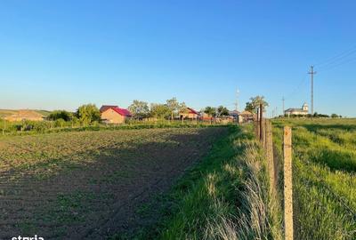 Teren de 3100 mp, în Bălțați - 7