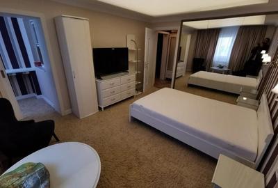 Garsoniera Ion Mihalache- Titulescu- Banu Manta - 5