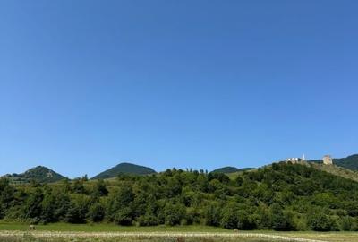 Teren agricol extravilan de 9000 mp, în Rimetea - 3