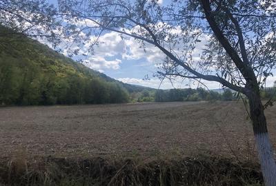 Casă cu 4 camere în Slava Rusă - 15