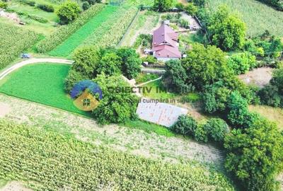 TEREN intravilan GIROV  4133 mp - 10