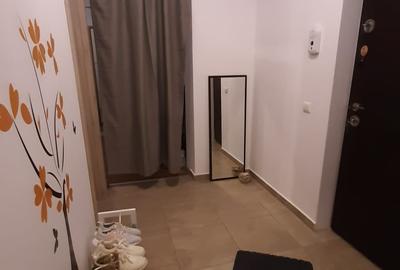 Apartament cu 2 camere decomandat, mobilat în Drumul Taberei - 12