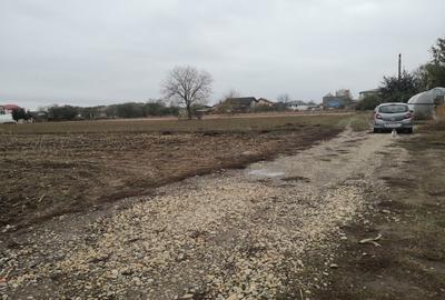 Teren Construcții intravilan de 1500 mp, în Sud - 2