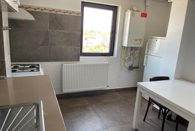Inchiriere ap. 2 camere Berceni-Anghel Moldoveanu - 5