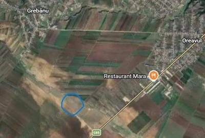 Teren de 28300 mp, în Grebănu - 1