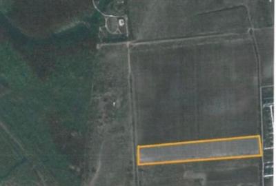 Teren Ostratu-Tamasi // OPORTUNITATE INVESTITII Teren Ostratu-Tamasi // OPORTUNITATE INVESTITII - 7