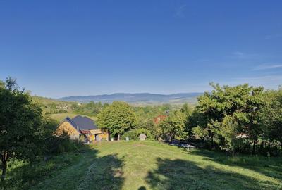 Casă cu 4 camere în Petru Rareș - 3