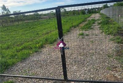 Teren 5600 mp Snagov Lac - 7