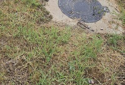 Teren de 1000 mp, în Moara Vlăsiei - 5