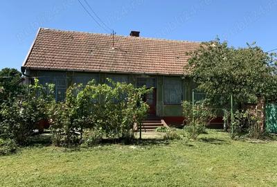 Casa la ?ara in Uliuc, 20km de Timi?oara, Teren 2275mp - 3