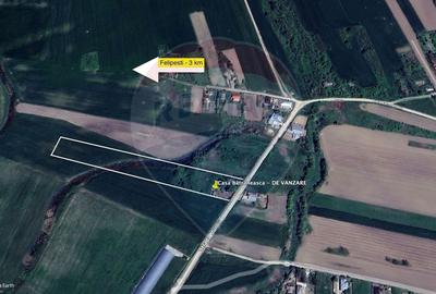 Casă individuală cu 3 camere cu Canalizare în Filipești - 3