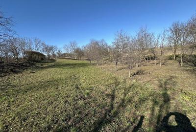 Teren de 960 mp, în Ambud - 5