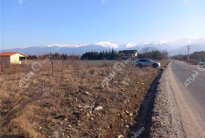 Teren intravilan 3000 mp de vanzare pe Valea Avrigului drum asfaltat - 4