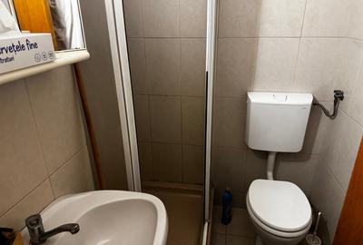 Apartament cu 4 camere decomandat în Decebal - 13