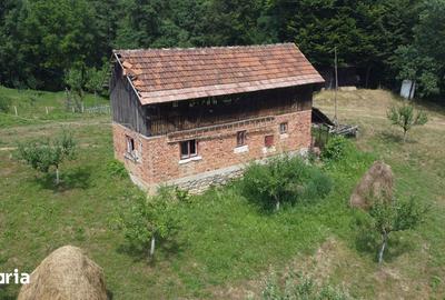 Teren de 6200 mp, în Cicănești - 12