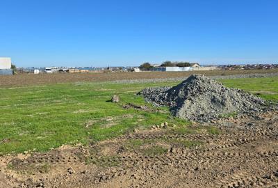 Teren Construcții intravilan de 980 mp, în Ovidiu - 8