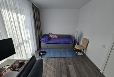 Apartament cu 3 camere decomandat, mobilat în Theodor Pallady - 8