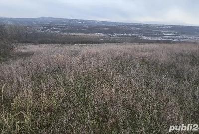 Casă cu 3 camere în Goiești - 3