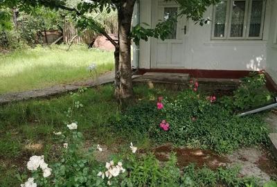 Casă cu 4 camere în Blidari (Cârligele) - 2