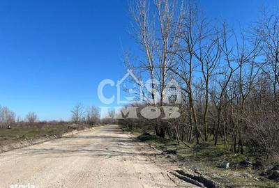 Spațiu comercial, în Gherghești - 6