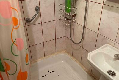 Garsonieră semidecomandată în Nicolina - 4