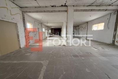 Spațiu industrial, 660 mp în Săcălaz