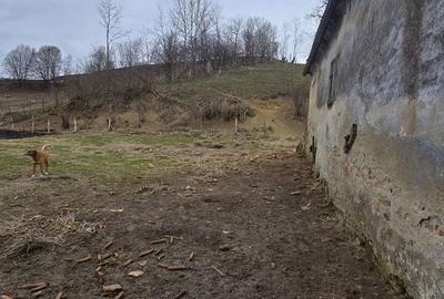 Teren de 1115 mp, în Bârghiș - 3