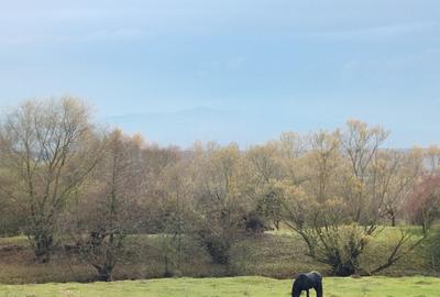 Vand teren Sibiu 5700mp - 5