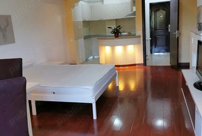 Inchiriez garsoniera Pipera(Divani&Sofa) - 2