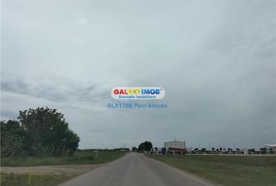 Teren Autostrada A3 Moara Vlasiei 26000 mp  Industrial Depozitare - 1