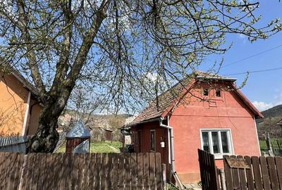 Casă cu Teren 287 Mp în Viforoasa - 4