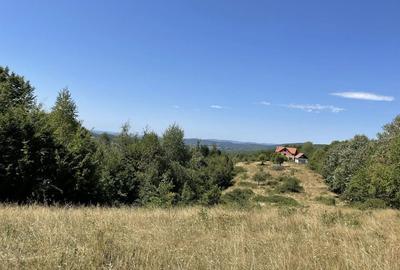 Teren de 45809 mp, în Mădrigești - 11