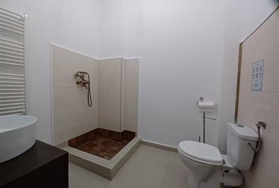 Inchiriere Spatiu Birouri Cotroceni- Carol Davila - 16