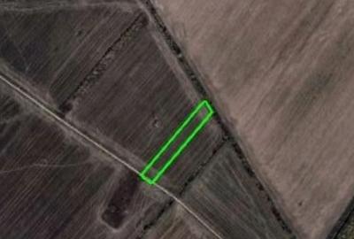 Teren Construcții intravilan de 4978 mp, în 1 Decembrie - 2
