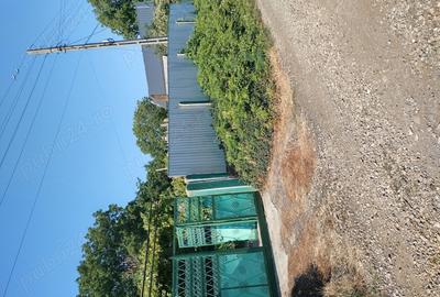 Casă cu 6 camere în Poiana - 2