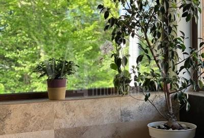 Casă individuală cu 3 camere cu Canalizare în Făget - 24