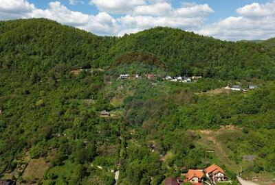 DE VANZARE Teren Baia Mare / Strada Sanatatii - 5