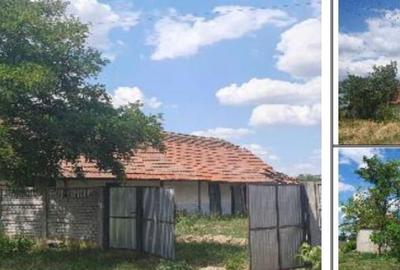 Casă cu 2 camere cu Teren 2877 Mp în Livezile - 7