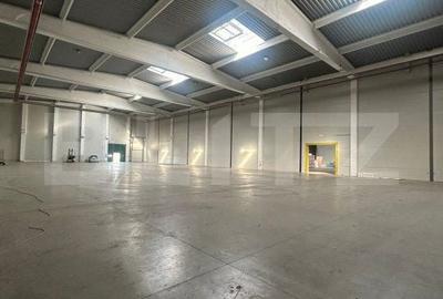 Spațiu comercial, de 3,000 mp, în Dumbrăvița - 3