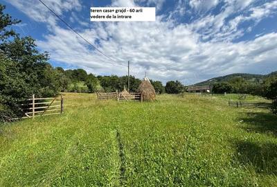 Teren de 35000 mp, în Parva - 7