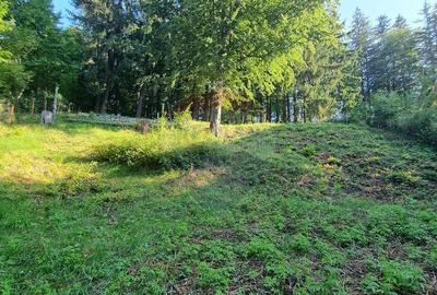 Teren cu Autorizatie de constructie/ Pensiune de lux ... Teren cu Autorizatie de constructie/ Pensiune de lux ... - 6