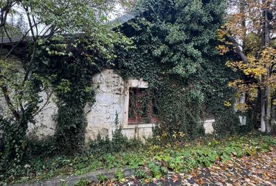 Casa Predeal Central - 2