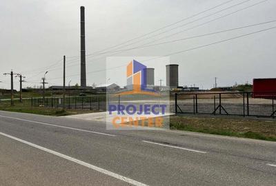 Teren Bradu, suprafata 3000 mp Teren Bradu, suprafata 3000 mp - 11