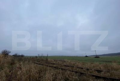 Teren de 41000 mp, în Ișalnița - 8