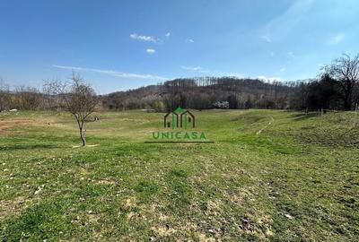 Teren de 8131 mp, în Băile Govora - 7