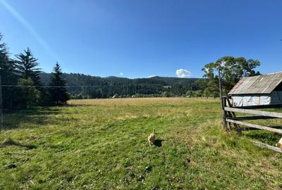 Vanzare 33400 parcelat- 18 loturi - Plaiul Sarului la sosea- microdezvoltare - 15