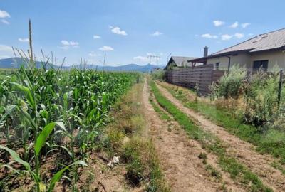 ???? Teren de vanzare, partial intravilan Izvor, Tarlu - 5