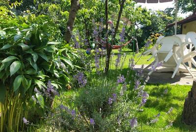 Vand Casa Individuala - 3