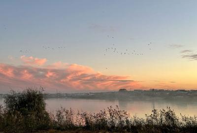 Spațiu comercial, în Nord - 4